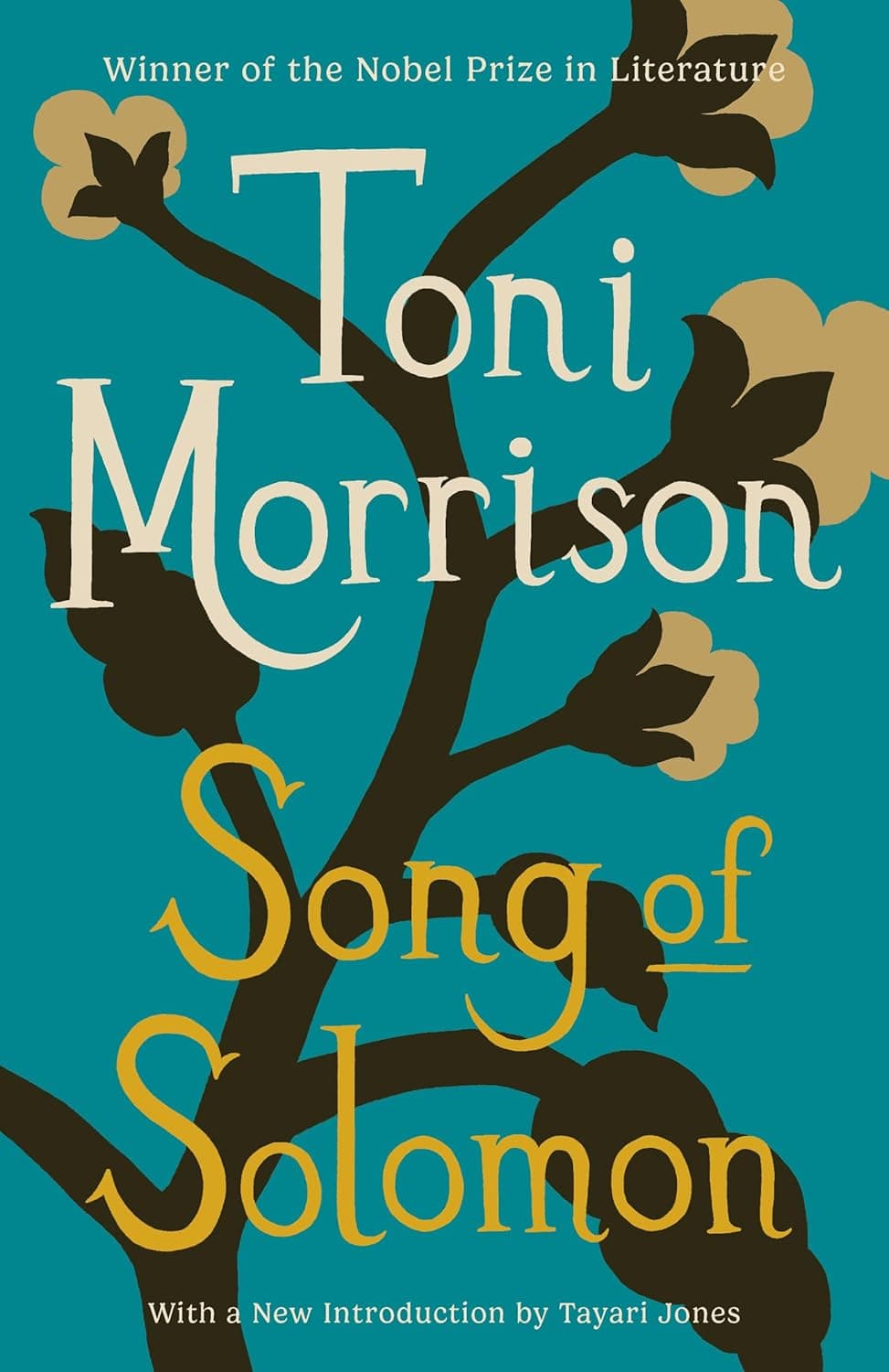 Cover of Song of Solomon