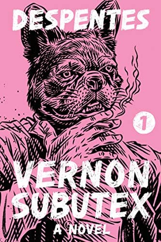 Cover of Vernon Subutex 1