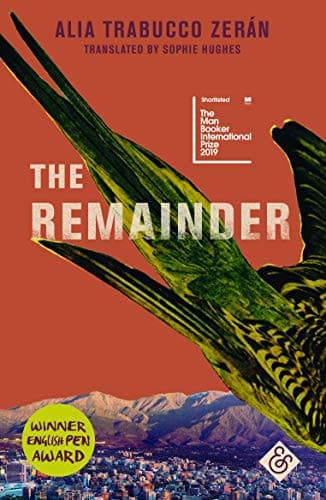 Cover of The Remainder