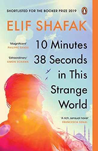 Cover of 10 Minutes 38 Seconds in this Strange World