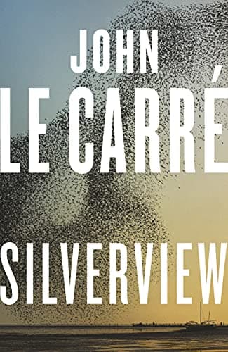 Cover of Silverview