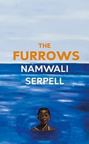 Cover of The Furrows