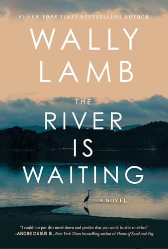 Cover of The River Is Waiting