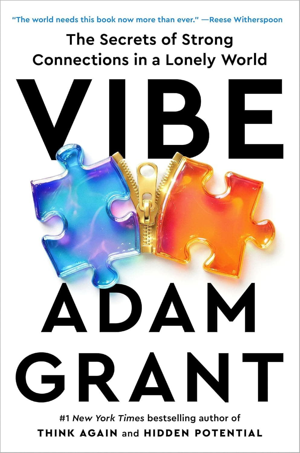 Cover of Vibe: The Secrets of Strong Connections in a Lonely World