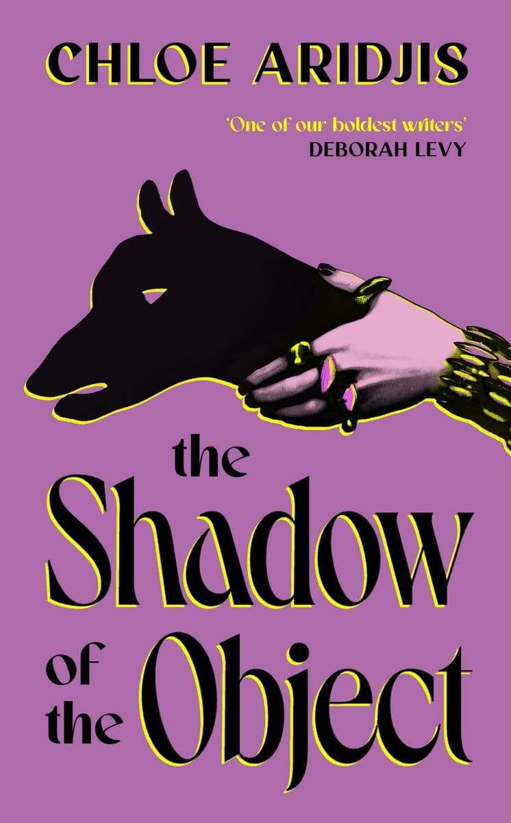 Cover of The Shadow of the Object