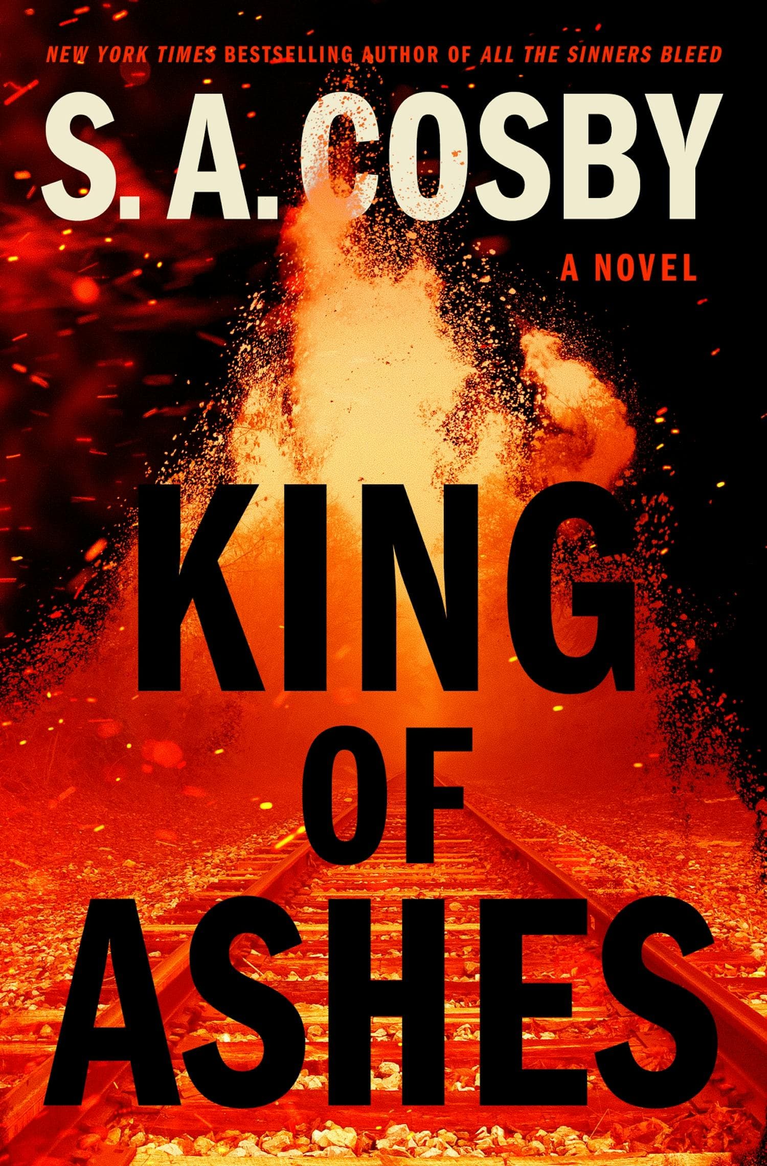 Cover of King of Ashes