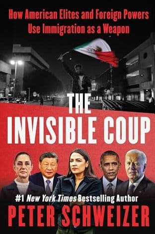 Cover of THE INVISIBLE COUP