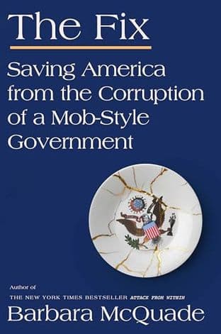Cover of THE FIX