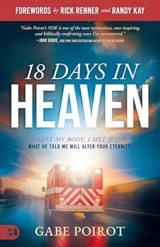 Cover of 18 DAYS IN HEAVEN